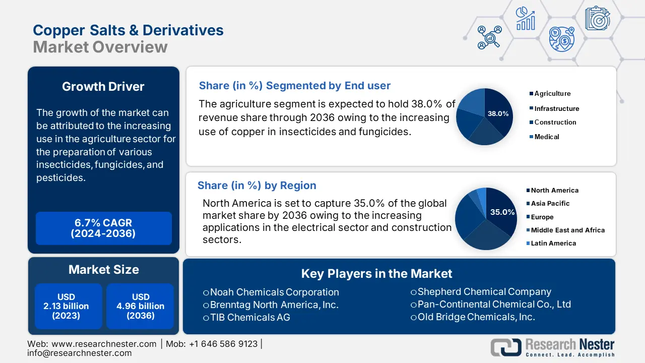 Copper Salts & Derivatives Market share